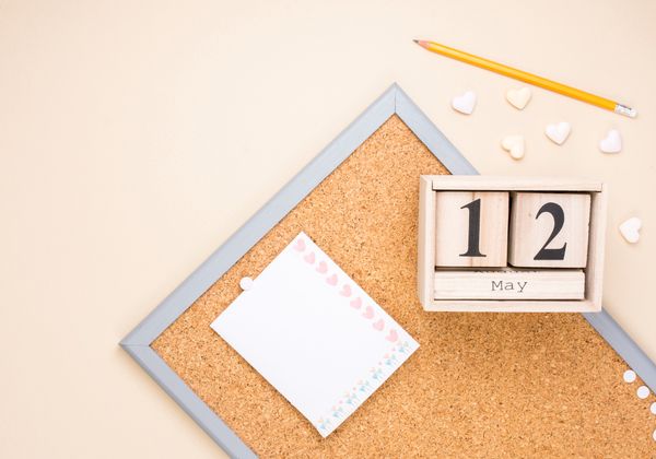 What are the Limited Company Dates that you Need to Know?